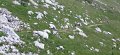 Val-d'Illiez 046